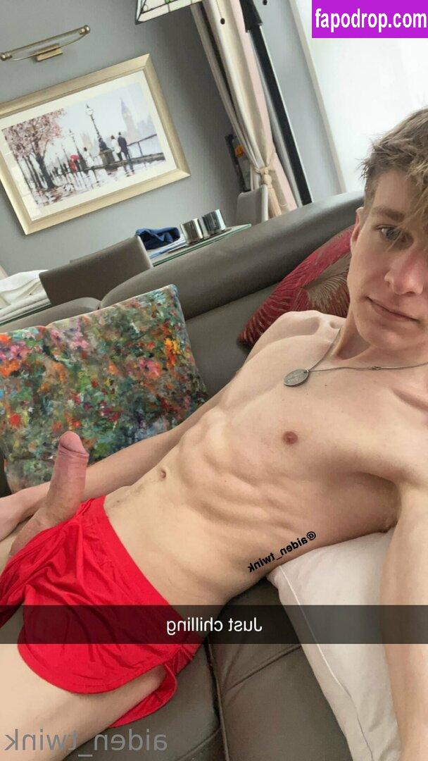 aiden_twink / platinumtwink leak of nude photo #0020 from OnlyFans or Patreon