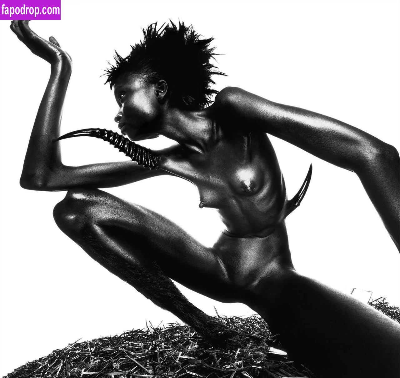 Alek Wek / msalekwek слитое обнаженное фото #0014 с Онлифанс или Патреон