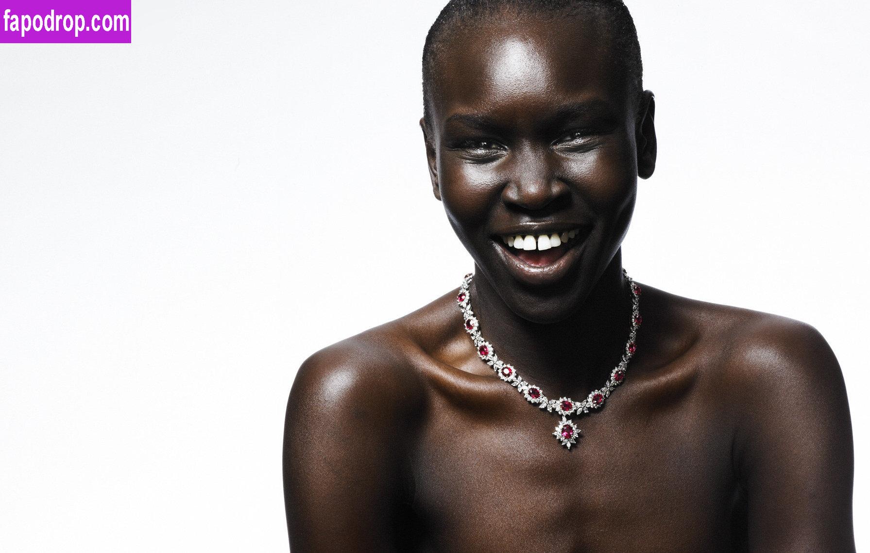 Alek Wek / msalekwek leak of nude photo #0029 from OnlyFans or Patreon