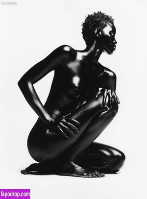 Alek Wek photo #0001