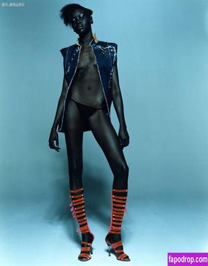 Alek Wek photo #0004