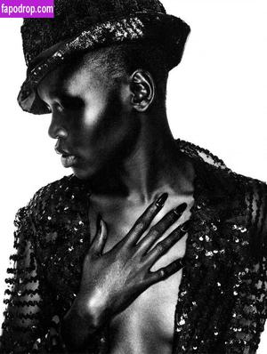 Alek Wek photo #0009