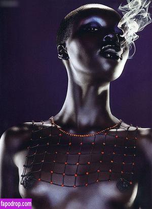 Alek Wek photo #0013