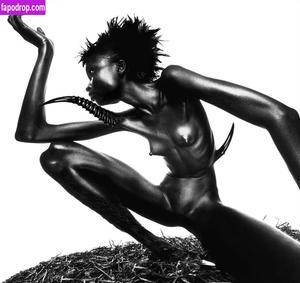 Alek Wek фото #0014