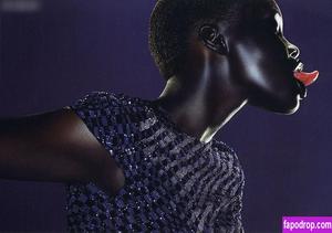 Alek Wek фото #0016