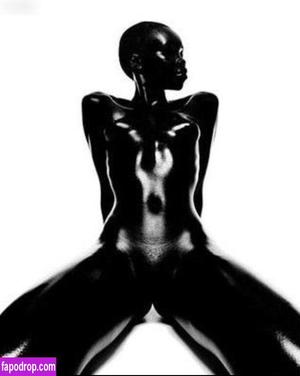 Alek Wek фото #0038