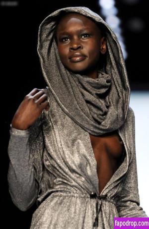 Alek Wek photo #0045