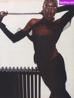 Alek Wek photo #0048