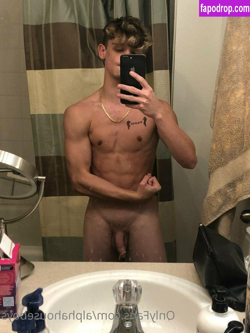 alphahouseboys /  leak of nude photo #0002 from OnlyFans or Patreon