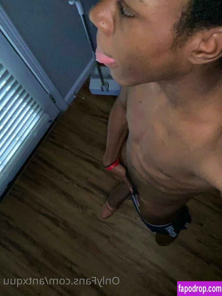 antxquu / ansquu leak of nude photo #0020 from OnlyFans or Patreon