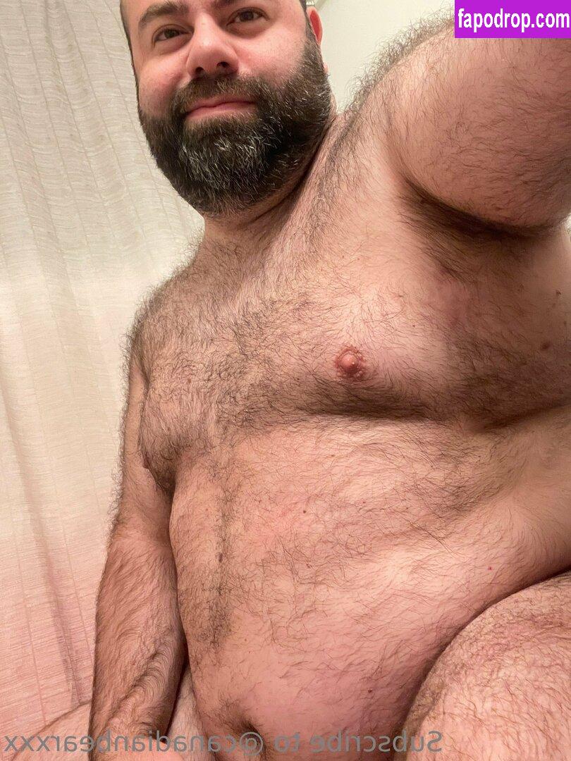 bearshoutout /  leak of nude photo #0001 from OnlyFans or Patreon