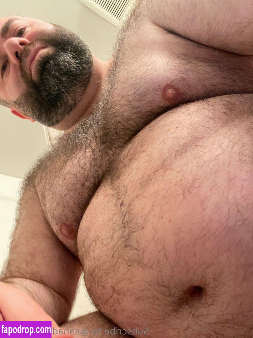 bearshoutout /  leak of nude photo #0003 from OnlyFans or Patreon