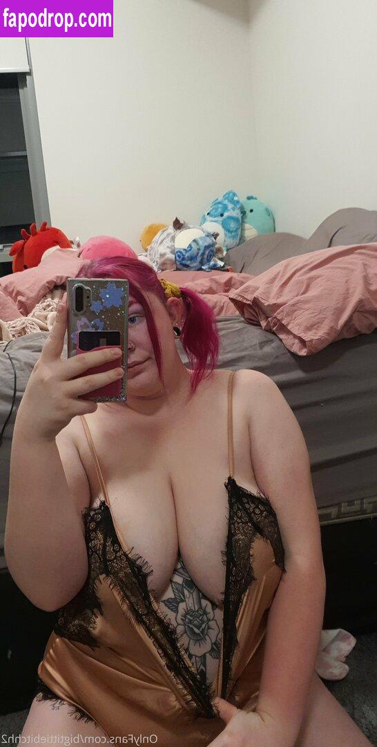 bigtittybitchh2 / bigtittybitchs leak of nude photo #0024 from OnlyFans or Patreon