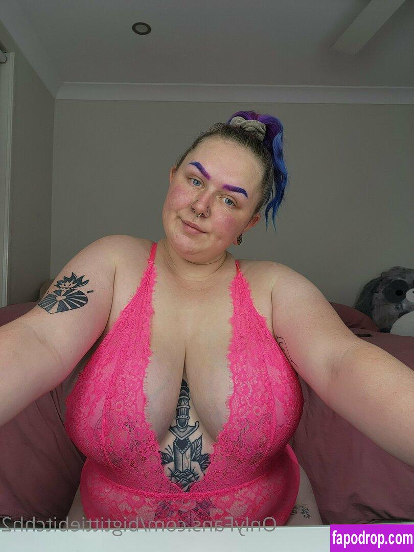 bigtittybitchh2 / bigtittybitchs leak of nude photo #0057 from OnlyFans or Patreon