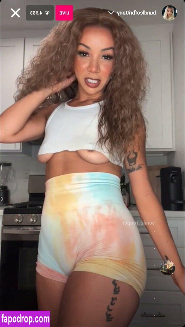 Brittany Renner / bundleofbrittany leak of nude photo #0524 from OnlyFans or Patreon