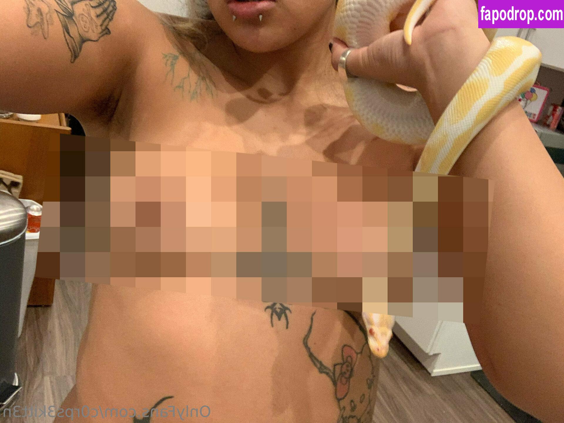 c0rps3kitt3n /  leak of nude photo #0063 from OnlyFans or Patreon