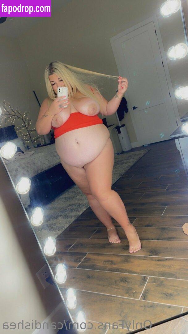 candishea / bbwcandishea leak of nude photo #0173 from OnlyFans or Patreon