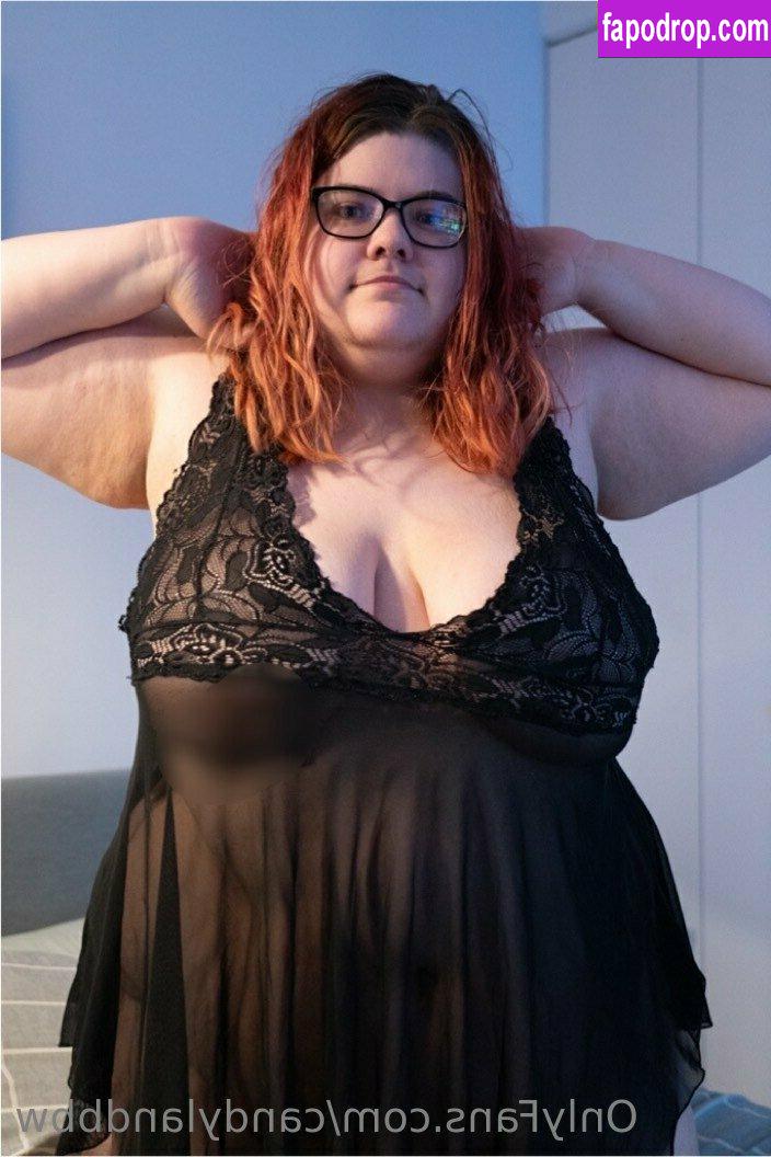 candylandbbw1 / landofsw33tzz leak of nude photo #0003 from OnlyFans or Patreon