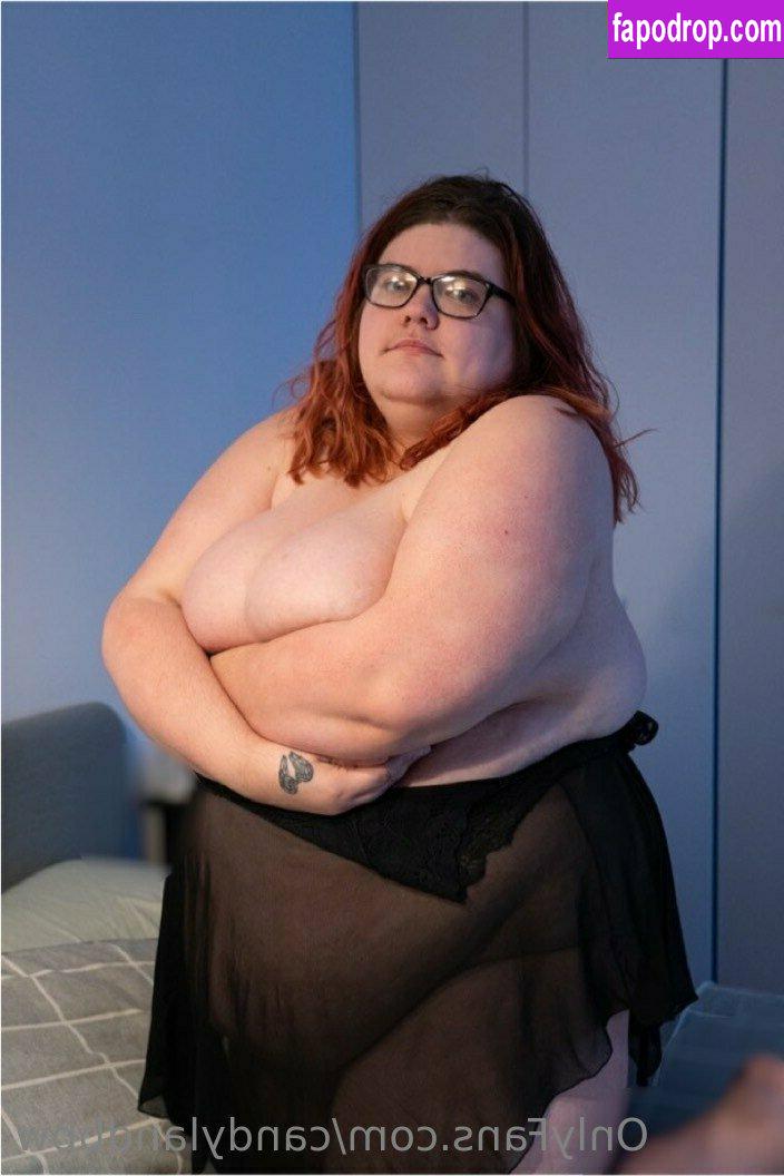 candylandbbw1 / landofsw33tzz leak of nude photo #0005 from OnlyFans or Patreon