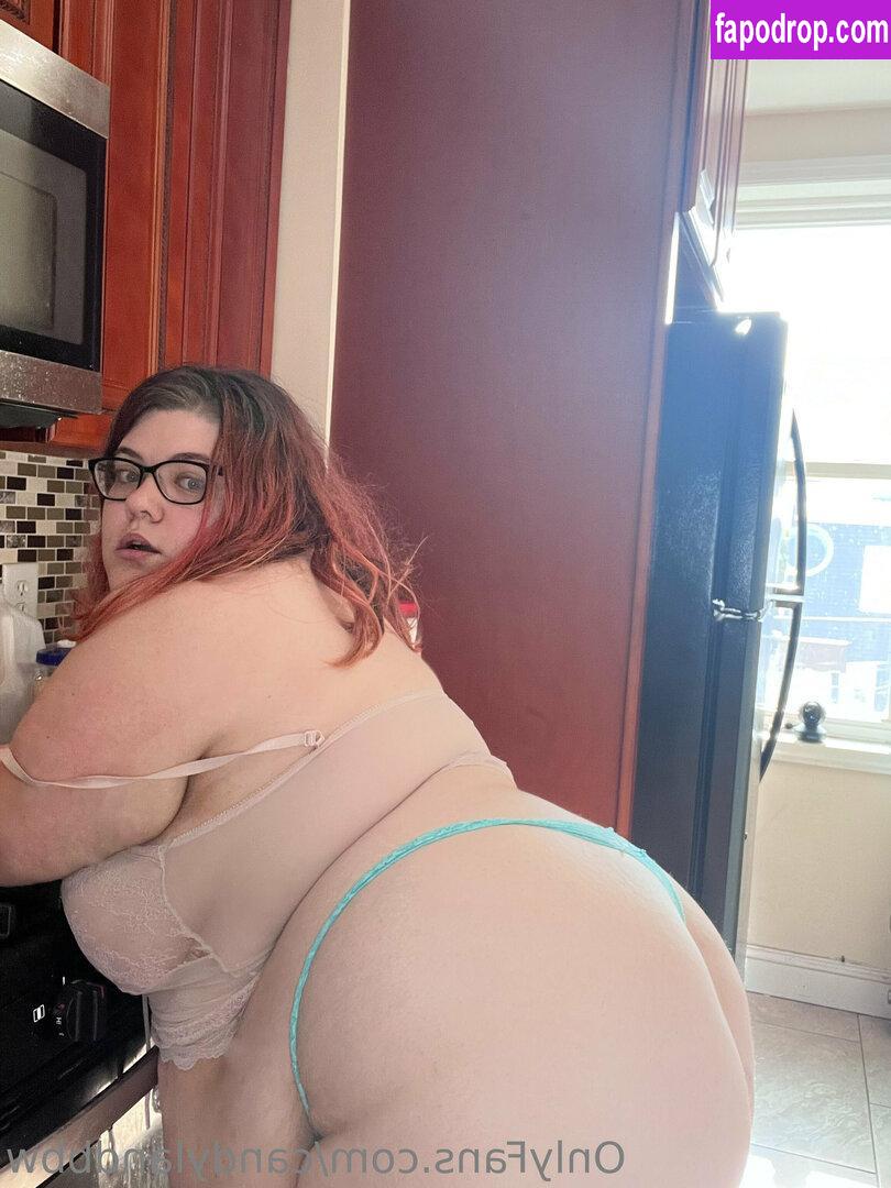 candylandbbw1 / landofsw33tzz leak of nude photo #0009 from OnlyFans or Patreon