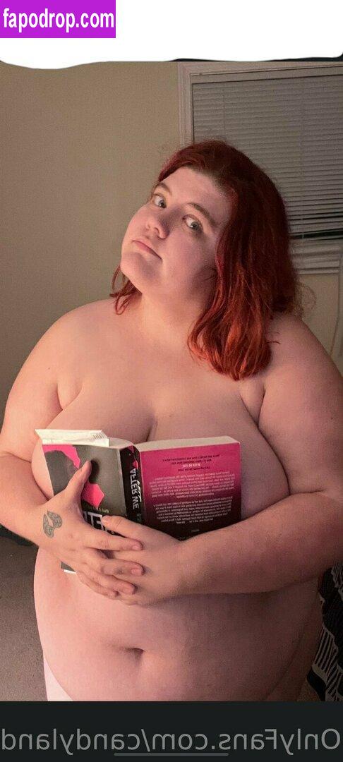 candylandbbw1 / landofsw33tzz leak of nude photo #0012 from OnlyFans or Patreon