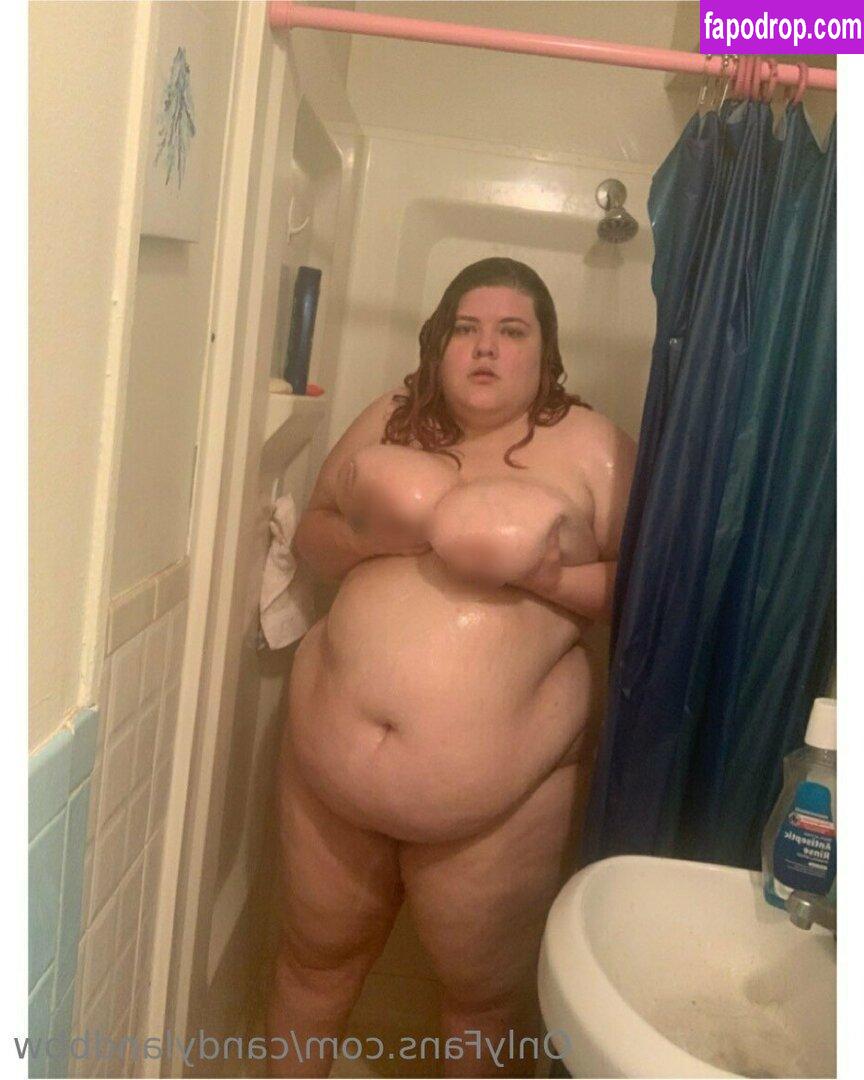 candylandbbw1 / landofsw33tzz leak of nude photo #0016 from OnlyFans or Patreon