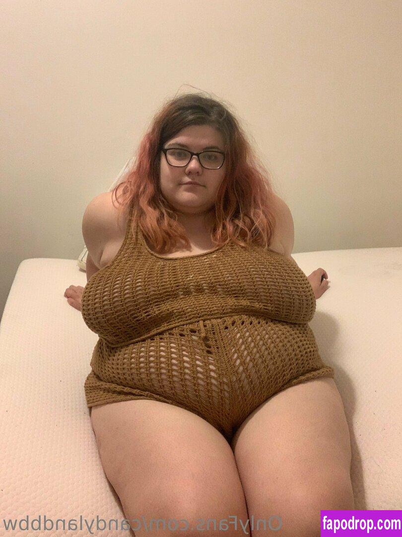 candylandbbw1 / landofsw33tzz leak of nude photo #0017 from OnlyFans or Patreon