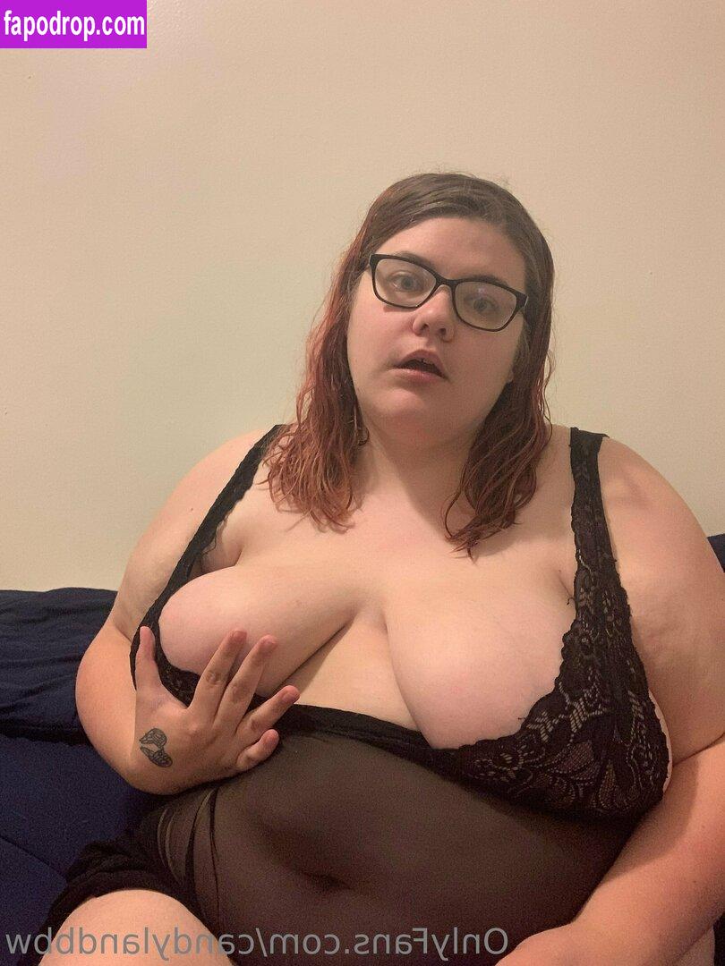 candylandbbw1 / landofsw33tzz leak of nude photo #0024 from OnlyFans or Patreon