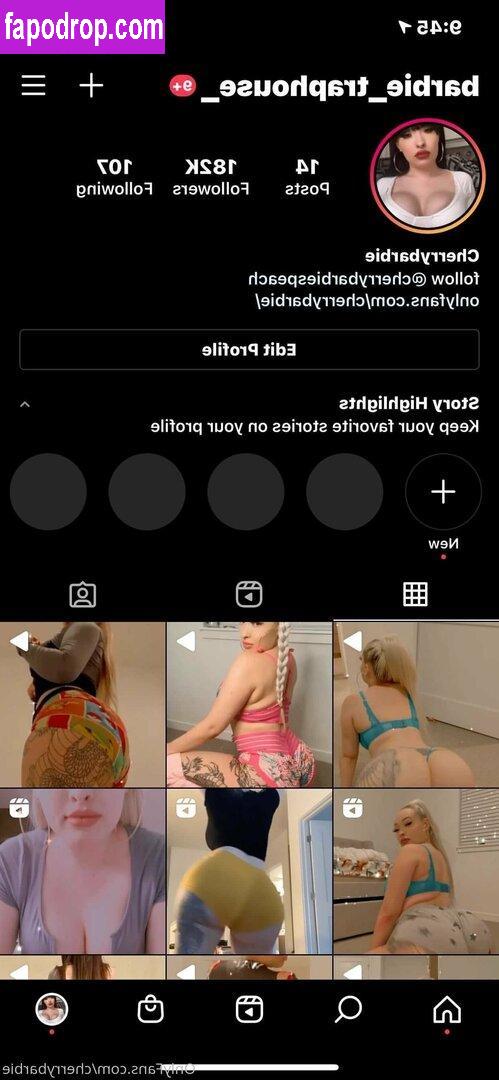 cherrybarbievip / onlycherrybarbiefans leak of nude photo #0014 from OnlyFans or Patreon
