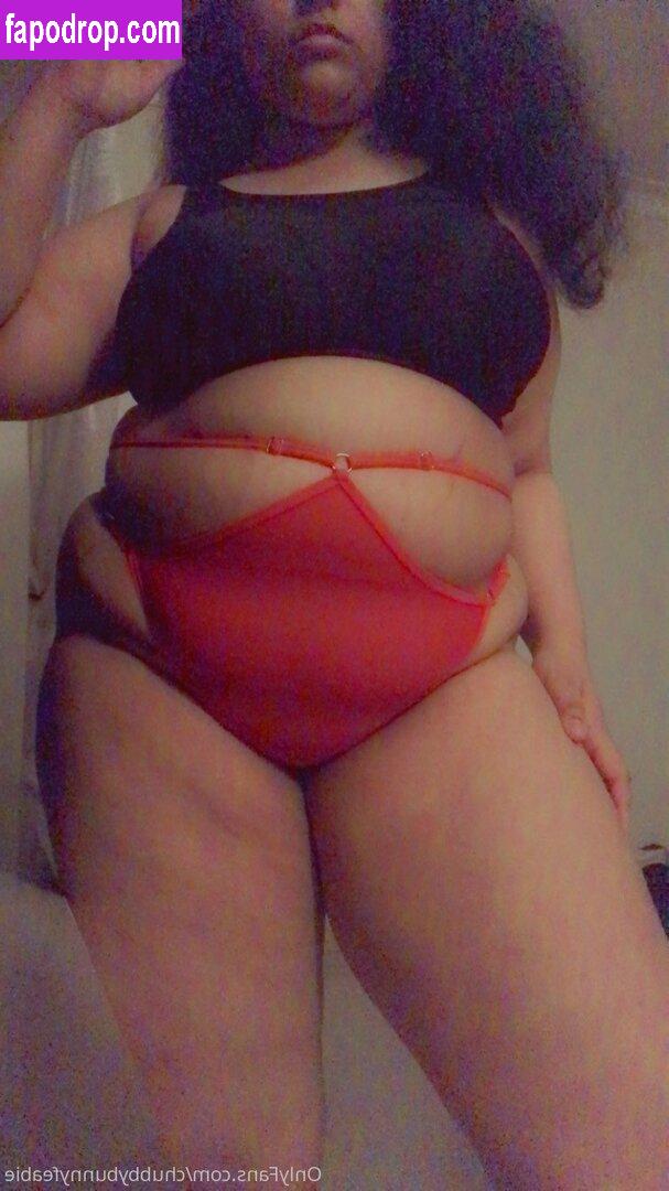 chubbybunnyfeabie /  leak of nude photo #0049 from OnlyFans or Patreon