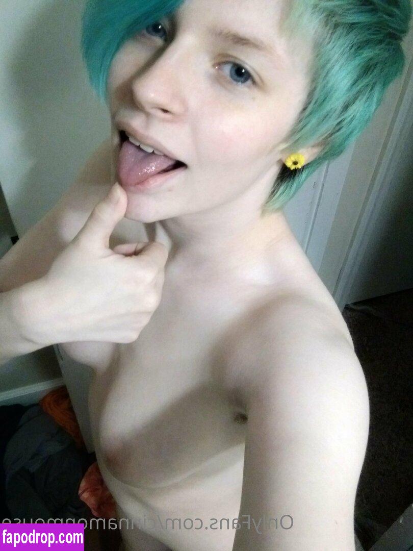 cinnamonmouse /  leak of nude photo #0016 from OnlyFans or Patreon
