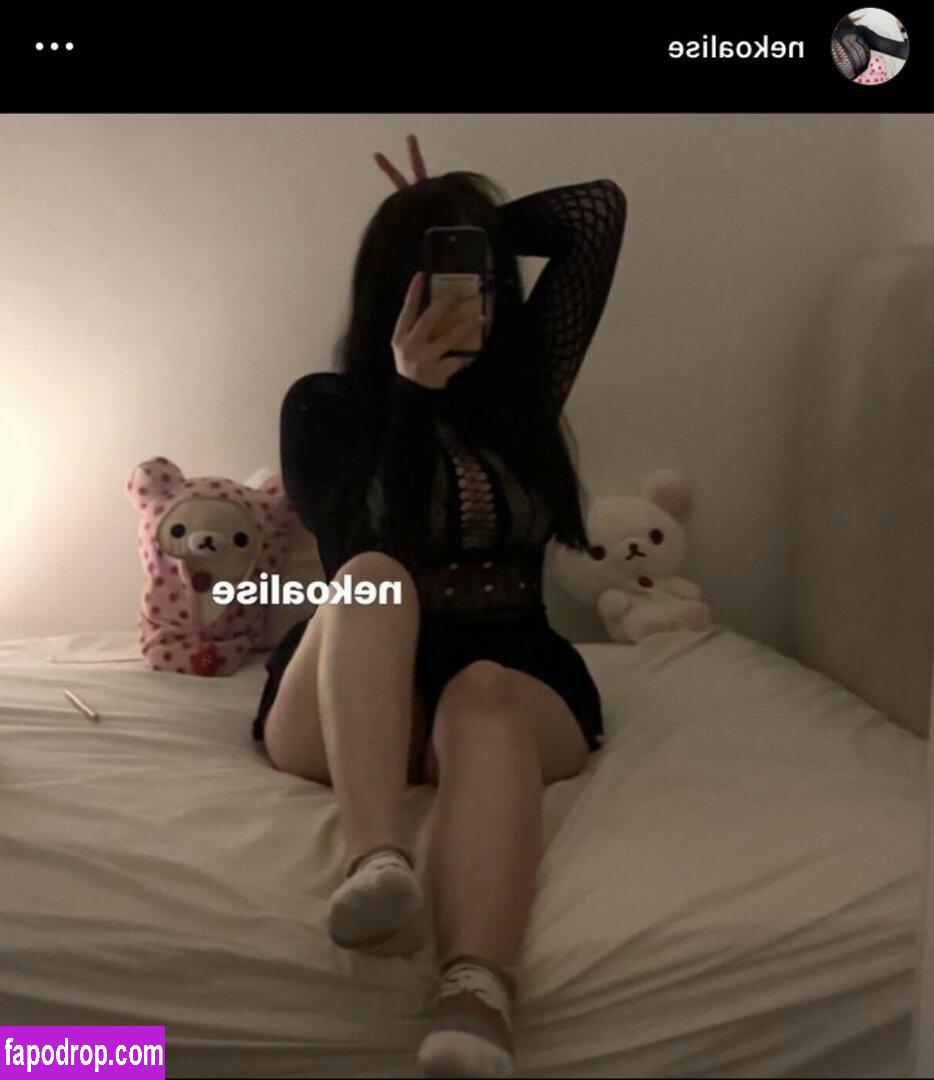 cutegirlxox / ditzygirlfriend / gropeable / nekoalise leak of nude photo #0003 from OnlyFans or Patreon