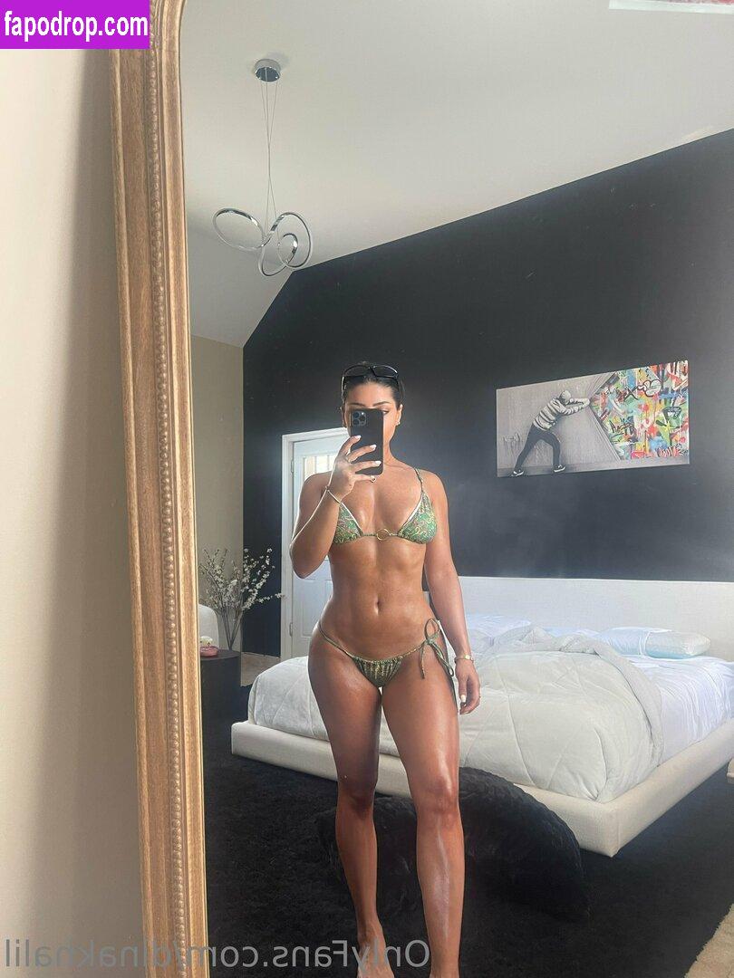 Dinaskha / dinakhalil leak of nude photo #0056 from OnlyFans or Patreon