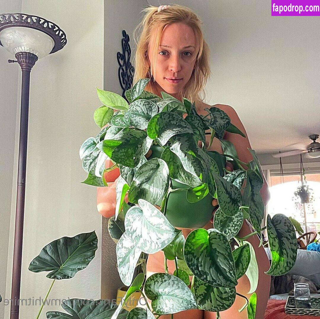 Emily Whitmire / UFC Strawweight Fighter / emwhitmire / emwhitmire115 leak of nude photo #0072 from OnlyFans or Patreon