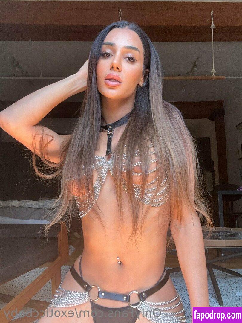 exoticcbaby / Kamila / kamilaofficiel leak of nude photo #0178 from OnlyFans or Patreon