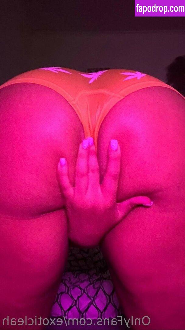 exoticleah / exoticleahs leak of nude photo #0003 from OnlyFans or Patreon