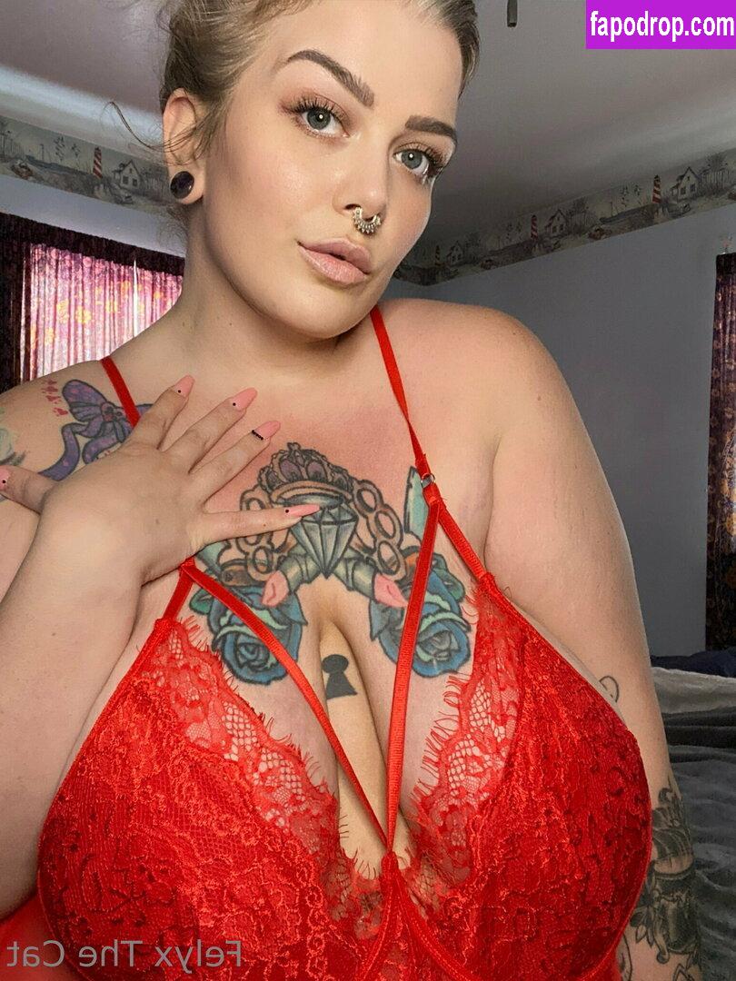 felyxfree / felyxfox leak of nude photo #0250 from OnlyFans or Patreon