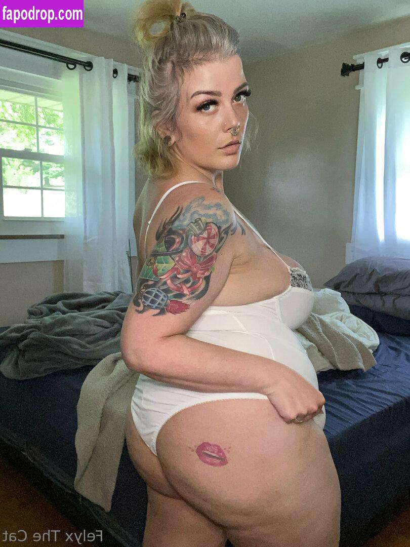 felyxfree / felyxfox leak of nude photo #0353 from OnlyFans or Patreon