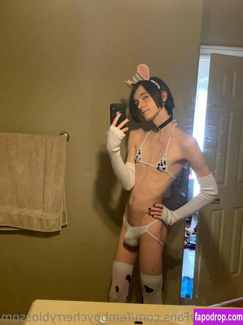 femboycherryblossom /  leak of nude photo #0205 from OnlyFans or Patreon