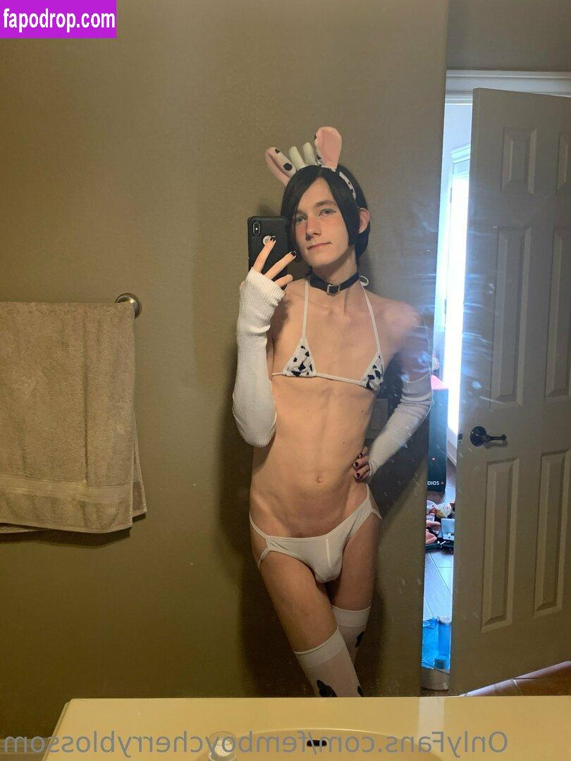 femboycherryblossom /  leak of nude photo #0207 from OnlyFans or Patreon