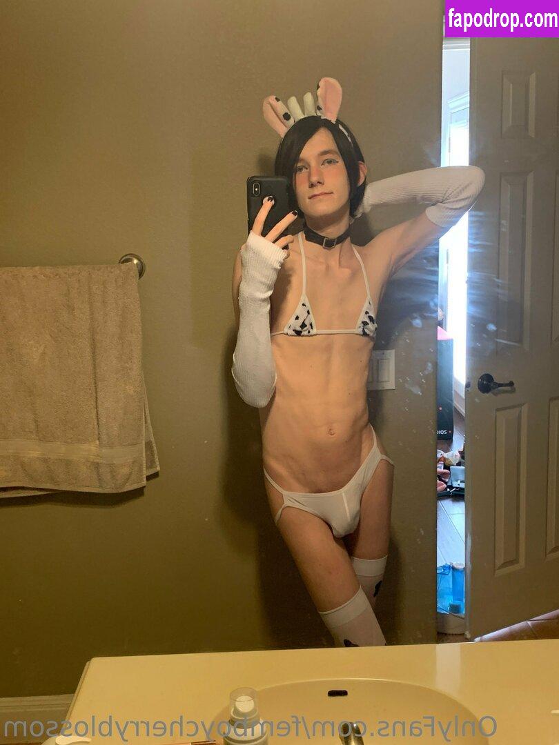 femboycherryblossom /  leak of nude photo #0211 from OnlyFans or Patreon