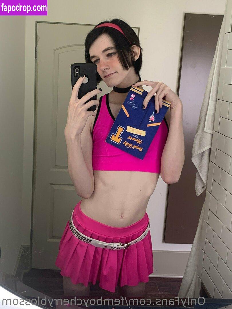 femboycherryblossom /  leak of nude photo #0252 from OnlyFans or Patreon