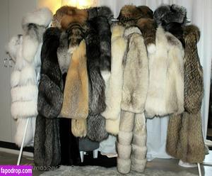 furcoatlove photo #0015