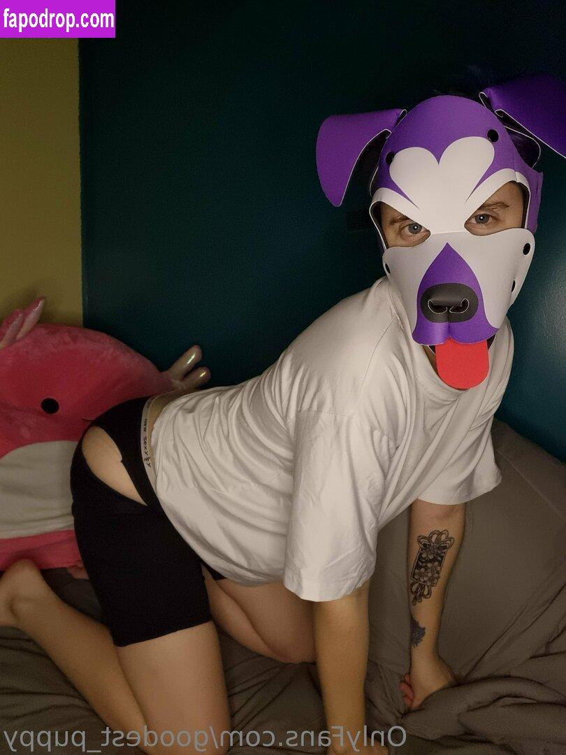 goodest_puppy /  leak of nude photo #0019 from OnlyFans or Patreon