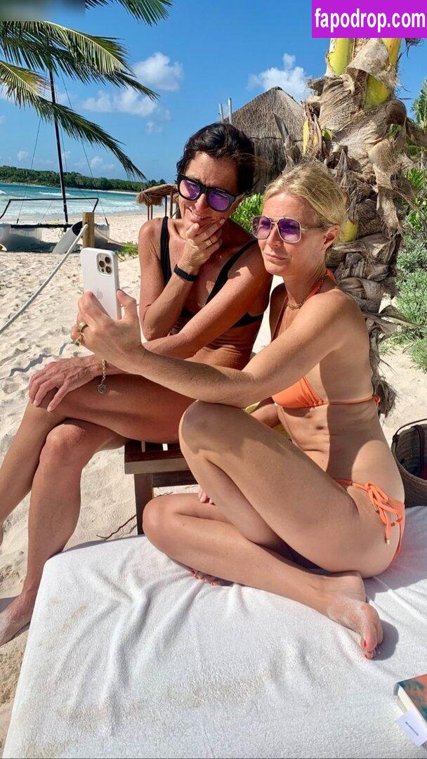 Gwyneth Paltrow / GwynethPaltrow leak of nude photo #0269 from OnlyFans or Patreon