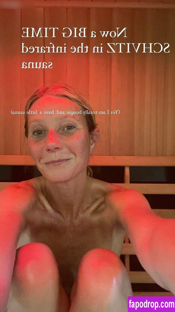 Gwyneth Paltrow / GwynethPaltrow leak of nude photo #0291 from OnlyFans or Patreon