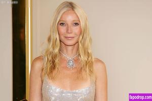 Gwyneth Paltrow photo #0507