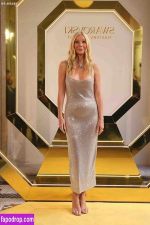 Gwyneth Paltrow photo #0509