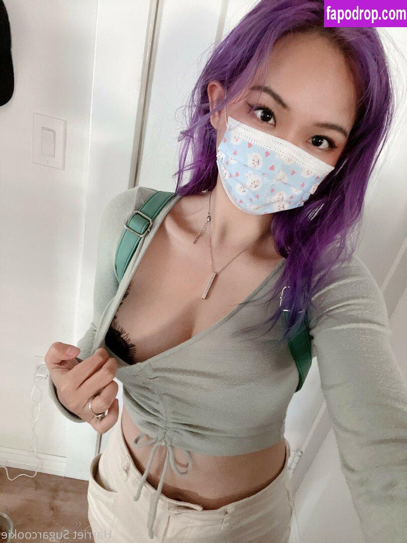 Harriet Sugarcookie / harrietsugarcookie / hsugarcookie / iamharrietsugarcookie leak of nude photo #0528 from OnlyFans or Patreon
