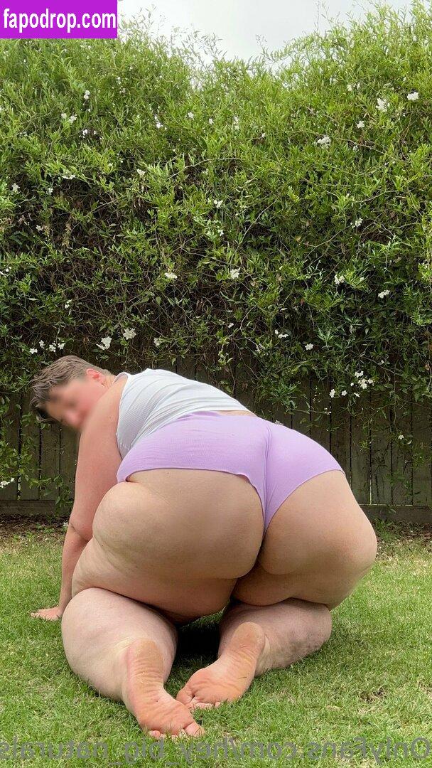 hey_big_naturals / thebackpackingblondie leak of nude photo #0002 from OnlyFans or Patreon